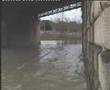 videos de tevere in piena all'isola tiberina
