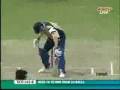 umar gul best yorkers