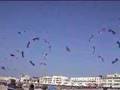 Revolution kite megateam (16 kites)