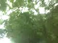 Driving by the fire siren