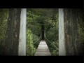 AAA