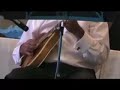 italian  ballo liscio music played by