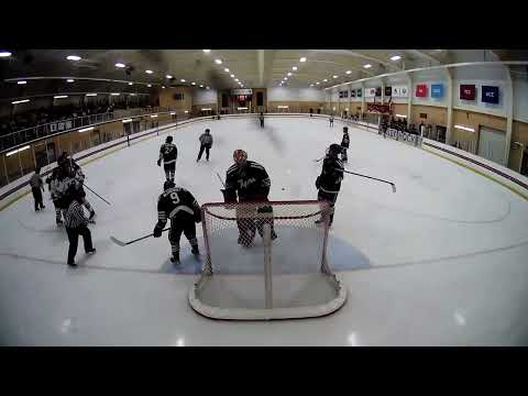 2023-2024 MPHL December #13 Shuyi Chen