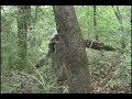 Fort Walton Beach Airsoft 4/12/08 *RAW UNEDITED FOOTAGE* Fort Walton Beach Airsoft 4/12/08 *RAW UNEDITED FOOTAGE*