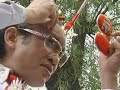 Olympic Acupuncture