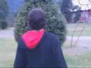 Carburazo 1