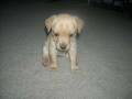videos de Sandy
