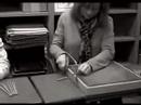 Short Pencil Saga (Director\