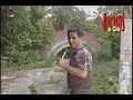 Bichos e Cia, Dengue mata Sergipanos Bichos e Cia, Dengue mata Sergipanos