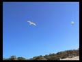 Playa de Est Dol� - Mallorca