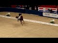 Globen horseshow 28 dec