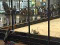 videos de Sparky v3.0 vs. Matts Slammer - RG05