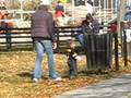 Zev Willie in Dupont Circle