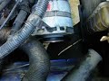 Alternateur et courroie fiat Alternateur et courroie fiat