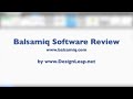Balsamiq Software Review
