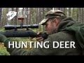 Hunting deer. Filmed and hunted by Kristoffer Clausen