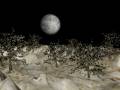videos de Moon from stone forest