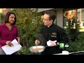Fall Food: Savory Squash Tenderloin Fall Food: Savory Squash Tenderloin