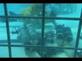 06-80-EOD Dive School Class Video