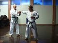 GOJU RYU KARATE - TRAINING TECHNIQUES 3 - BUNKAI GOJU RYU KARATE - TRAINING TECHNIQUES 3 - BUNKAI