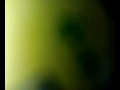 abd alhalim hafez .dam3i chohodi.flv