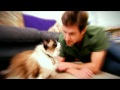 Must Love Cats - Promo Video