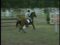 videos de Rodrygo c 120 lavinaio 28 luglio.