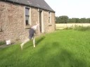 Tricking/Tumbling Mini Sampler