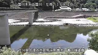 動画のサムネイル