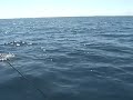 Fishing Salt Water in Mexico Fishing Salt Water in Mexico