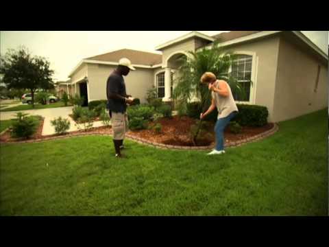 how to fertilize florida lawn