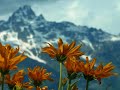 (this is the full version, i couldn't find all the pictures, so i added some new ones and changed some olds one. hope you enjoy, and thanks for all your responses so far)
.
.
.

time is a song from sandi thom album 
