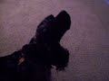 Video screenshot