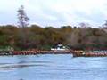 Maori Queens final journey down Waikato