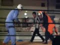 ボスコニアン