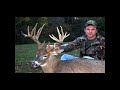 Bucks gone wild
