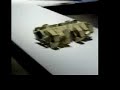 Animaris Rhinoceros - Art Futura 2005