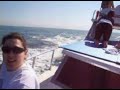 Laje Viva - Navegando com os Golfinhos