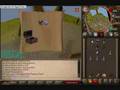 Zygomorph Barrows Loot