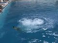 205B, 3M, Christina