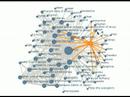 Would co-occurrences of taxon and taxonomists names all link back to Linnaeus? http://bit.ly/n4a96