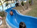 Thermas