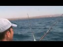 pesca: gioie e dolori...in questo caso solo dolori