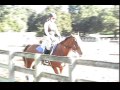 the rules of horseback riding