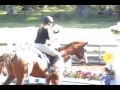 the-rules-of-horseback-riding.html