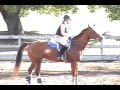 the rules of horseback riding
