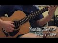 Martin OM-28V Song True