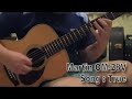 Martin OM-28V Song True