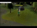Old Runescape Skillcapes and Emotes