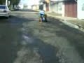 Click here to watch this video Pedrinho motorista